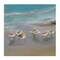 Stupell Industries Coastal Sandpipers Beach Waves Shore Canvas Design By Rick Novak